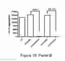 Fig. 33 - Antibodies specific for hyperphosphorylated tau and methods of use thereof