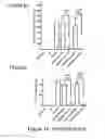 Fig. 35 - Antibodies specific for hyperphosphorylated tau and methods of use thereof