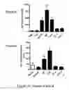 Fig. 40 - Antibodies specific for hyperphosphorylated tau and methods of use thereof