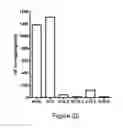 Fig. 43 - Antibodies specific for hyperphosphorylated tau and methods of use thereof