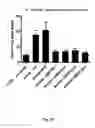 Fig. 46 - Agents, uses and methods for the treatment of synucleinopathy