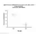 Fig. 147 - DEFINED COMPOSITION GENE MODIFIED T-CELL PRODUCTS