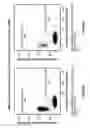 Fig. 149 - DEFINED COMPOSITION GENE MODIFIED T-CELL PRODUCTS