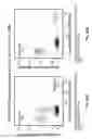Fig. 151 - DEFINED COMPOSITION GENE MODIFIED T-CELL PRODUCTS