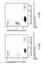 Fig. 152 - DEFINED COMPOSITION GENE MODIFIED T-CELL PRODUCTS