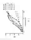 Fig. 06 - CD86 ANTAGONIST MULTI-TARGET BINDING PROTEINS