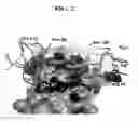 Fig. 03 - Nucleic acids encoding antibody polypeptides that antagonize CD40