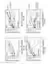 Fig. 03 - COMBINATION THERAPY COMPRISING ANTI-ANGIOGENESIS AGENTS AND OX40 BINDING AGONISTS