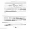 Fig. 06 - NUCLEIC ACIDS ENCODING HUMAN ANTIBODIES TO SIALYL-LEWIS A