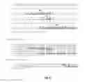 Fig. 07 - NUCLEIC ACIDS ENCODING HUMAN ANTIBODIES TO SIALYL-LEWIS A