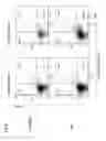 Fig. 07 - Compositions And Methods For Modulating And Redirecting Immune Responses