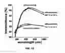 Fig. 06 - Nanoporous films derived from polycyclo-olefinic block polymers