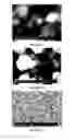 Fig. 06 - STABILIZED NANOPARTICLES AND DISPERSIONS OF THE STABILIZED NANOPARTICLES AND METHODS OF APPLICATION