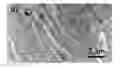 Fig. 01 - High performance lignin-acrylonitrile polymer blend materials