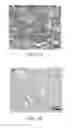 Fig. 08 - High performance lignin-acrylonitrile polymer blend materials