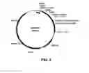 Fig. 03 - COMPOSITIONS AND PROCESSES FOR IMPROVING PROPERTIES OF FILLERS