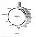 Fig. 06 - COMPOSITIONS AND PROCESSES FOR IMPROVING PROPERTIES OF FILLERS