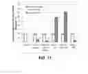 Fig. 16 - COMPOSITIONS AND PROCESSES FOR IMPROVING PROPERTIES OF FILLERS