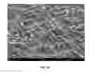 Fig. 09 - Slippery surfaces with high pressure stability, optical transparency, and self-healing characteristics