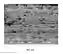 Fig. 41 - Slippery surfaces with high pressure stability, optical transparency, and self-healing characteristics