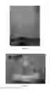 Fig. 50 - Slippery surfaces with high pressure stability, optical transparency, and self-healing characteristics