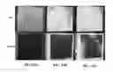 Fig. 65 - Slippery surfaces with high pressure stability, optical transparency, and self-healing characteristics