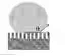 Fig. 01 - Hydrophobic article