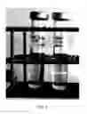 Fig. 07 - Polysaccharide coated nanoparticle compositions comprising ions