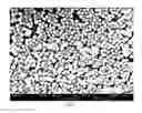 Fig. 02 - Stabilized nanoparticle compositions comprising ions