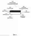 Fig. 02 - Etching compositions for transparent conductive layers comprising silver nanowires