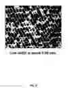 Fig. 10 - Etching compositions for transparent conductive layers comprising silver nanowires