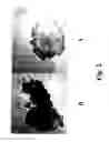 Fig. 03 - Cleaning composition with propellant
