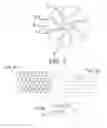 Fig. 05 - Apparatus and Methods for Cell Culture