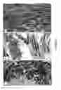 Fig. 04 - Biomatrix scaffolds
