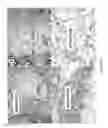 Fig. 22 - Biomatrix scaffolds