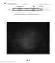 Fig. 06 - GENETICALLY MODIFIED MESENCHYMAL STEM CELLS THAT EXPRESS AN EXOGENOUS CYTOTOXIC PROTEIN