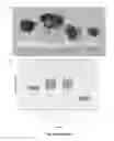 Fig. 10 - GENETICALLY MODIFIED MESENCHYMAL STEM CELLS THAT EXPRESS AN EXOGENOUS CYTOTOXIC PROTEIN