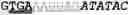 Fig. 03 - 7Beta-hydroxysteroid dehydrogenase mutants and process for the preparation of ursodeoxycholic acid