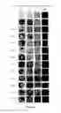 Fig. 04 - TETRACYCLINE RESISTANT EUKARYOTIC CELLS EXPRESSING AN NADP-REQUIRING OXIDOREDUCTASE
