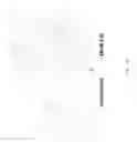 Fig. 07 - Modified Caspase polypeptides and uses thereof