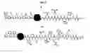Fig. 06 - Hybrid polymers, pharmaceutical compositions and methods of synthesizing the same