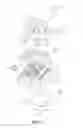 Fig. 03 - Nucleic acid extraction method