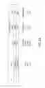 Fig. 07 - Nucleic acid extraction method