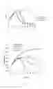 Fig. 04 - Compositions and methods for modulation of SMN2 splicing in a subject