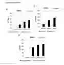 Fig. 03 - Dual targeting antisense oligonucleotides as apoptotic inhibtor therapeutic compostions and methods for their use in the treatment of cancer