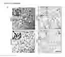 Fig. 04 - Dual targeting antisense oligonucleotides as apoptotic inhibtor therapeutic compostions and methods for their use in the treatment of cancer