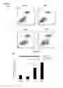 Fig. 09 - Dual targeting antisense oligonucleotides as apoptotic inhibtor therapeutic compostions and methods for their use in the treatment of cancer