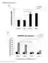 Fig. 12 - Dual targeting antisense oligonucleotides as apoptotic inhibtor therapeutic compostions and methods for their use in the treatment of cancer