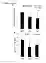 Fig. 14 - Dual targeting antisense oligonucleotides as apoptotic inhibtor therapeutic compostions and methods for their use in the treatment of cancer