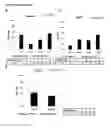 Fig. 17 - Dual targeting antisense oligonucleotides as apoptotic inhibtor therapeutic compostions and methods for their use in the treatment of cancer